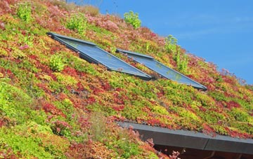 Balmaha living roof systems