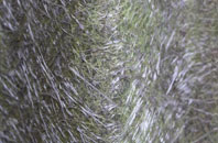 Balmaha fibreglass roof work